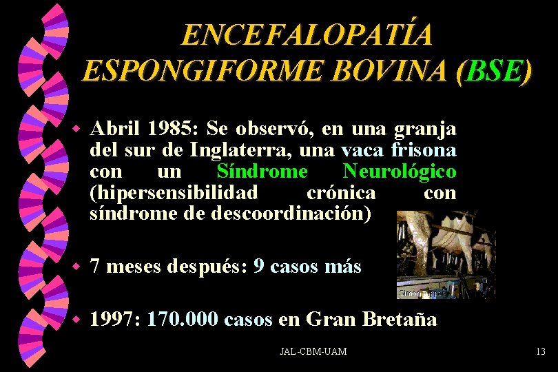 ENCEFALOPATÍA ESPONGIFORME BOVINA (BSE) w Abril 1985: Se observó, en una granja del sur