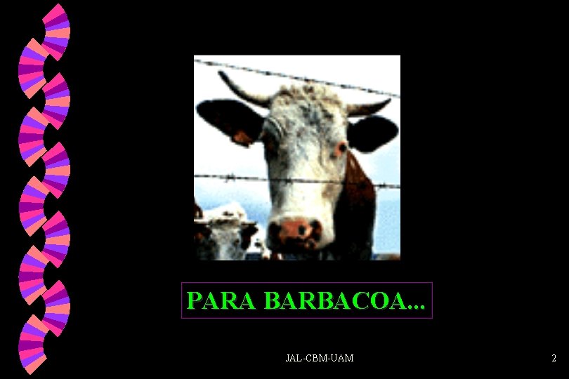 PARA BARBACOA. . . JAL-CBM-UAM 2 