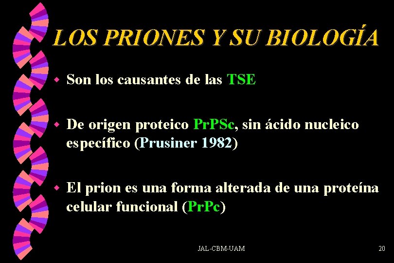 LOS PRIONES Y SU BIOLOGÍA w Son los causantes de las TSE w De