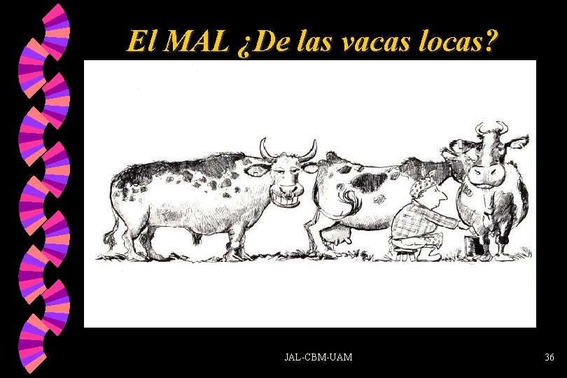 El MAL ¿De las vacas locas? JAL-CBM-UAM 36 