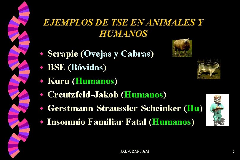 EJEMPLOS DE TSE EN ANIMALES Y HUMANOS w w w Scrapie (Ovejas y Cabras)