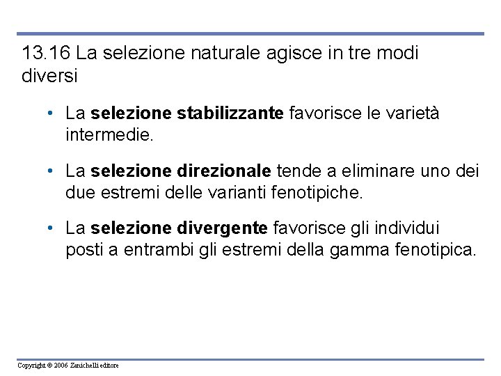 13. 16 La selezione naturale agisce in tre modi diversi • La selezione stabilizzante 13. 16 La selezione naturale agisce in tre modi diversi • La selezione stabilizzante