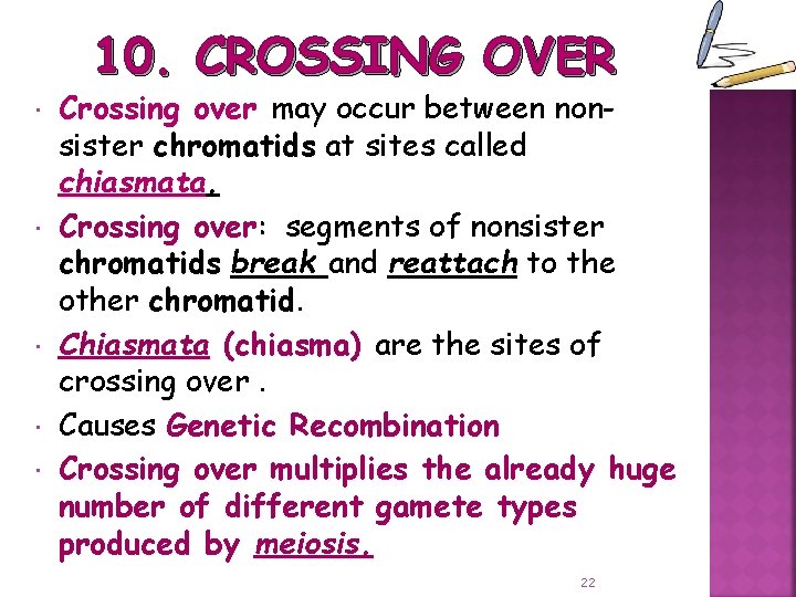 10. CROSSING OVER Crossing over may occur between nonsister chromatids at sites called chiasmata