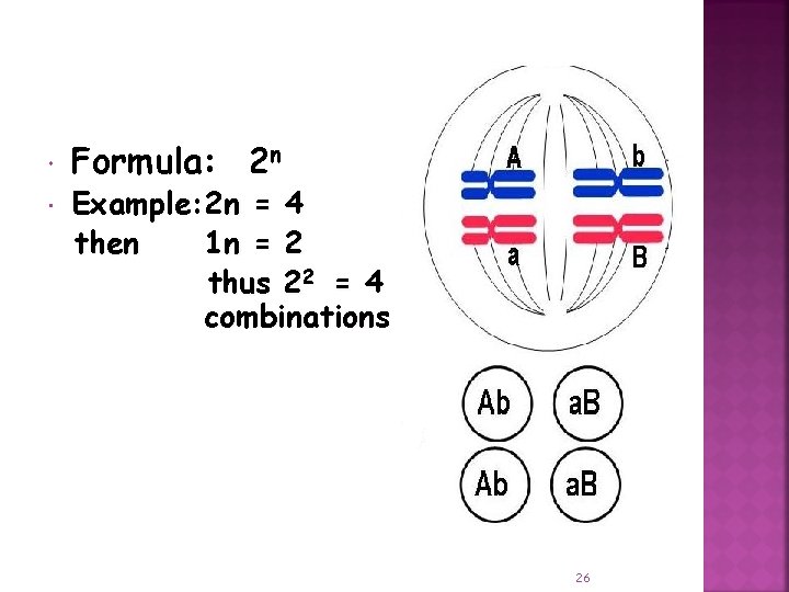  Formula: 2 n Example: 2 n = 4 then 1 n = 2