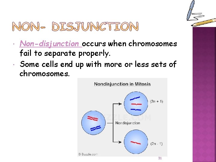  Non-disjunction occurs when chromosomes fail to separate properly. Some cells end up with