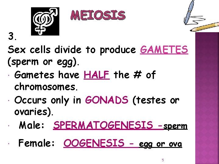 MEIOSIS 3. Sex cells divide to produce GAMETES (sperm or egg) Gametes have HALF