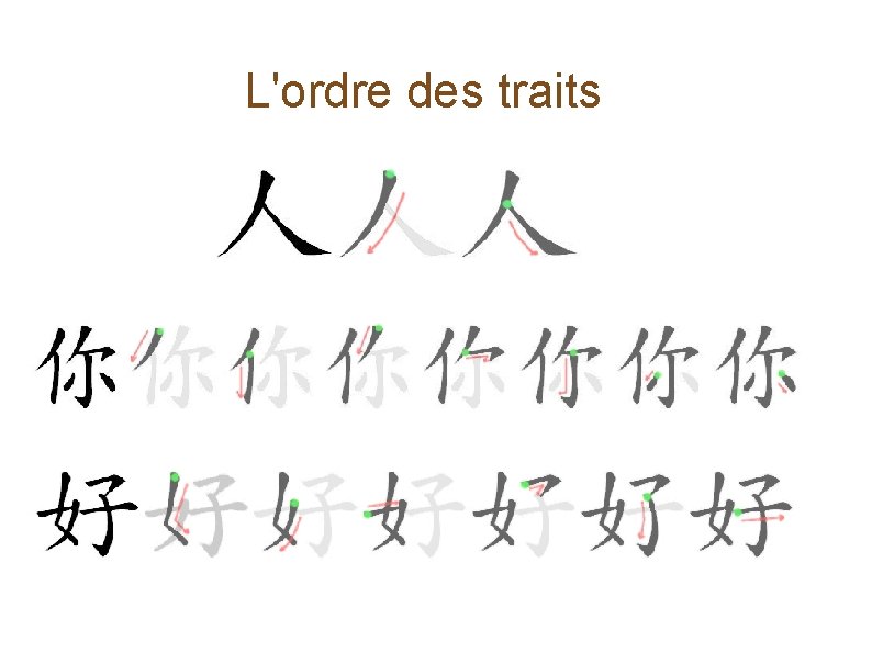 L'ordre des traits 