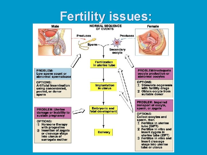 Fertility issues: 