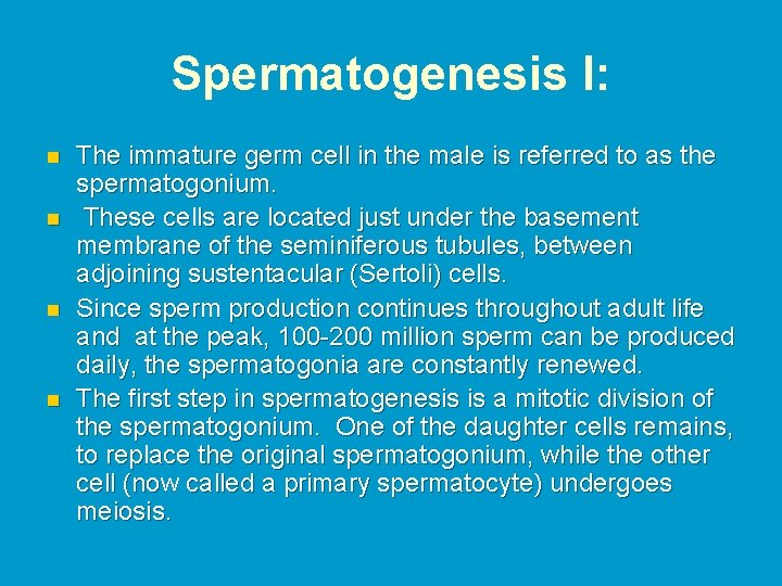 Spermatogenesis I: n n The immature germ cell in the male is referred to