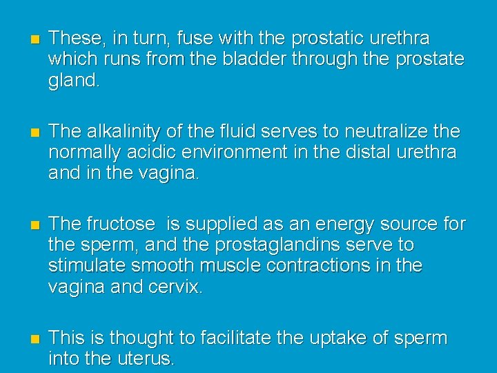 n These, in turn, fuse with the prostatic urethra which runs from the bladder