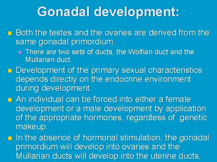 Gonadal development: n Both the testes and the ovaries are derived from the same