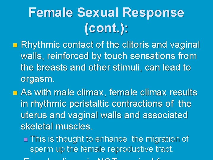 Female Sexual Response (cont. ): Rhythmic contact of the clitoris and vaginal walls, reinforced