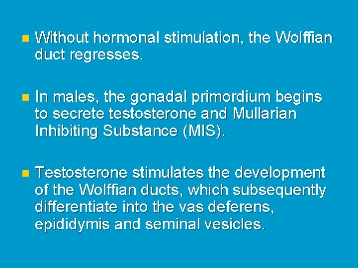 n Without hormonal stimulation, the Wolffian duct regresses. n In males, the gonadal primordium
