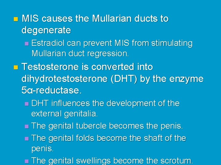 n MIS causes the Mullarian ducts to degenerate n n Estradiol can prevent MIS