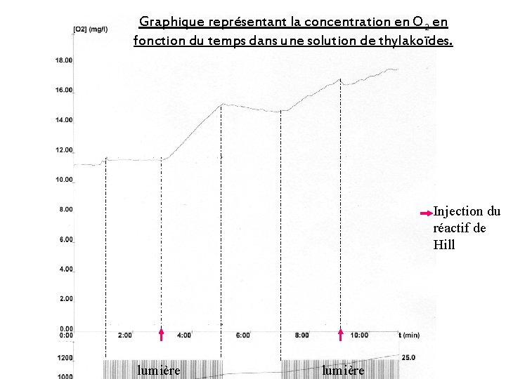 Graphique représentant la concentration en O 2 en fonction du temps dans une solution