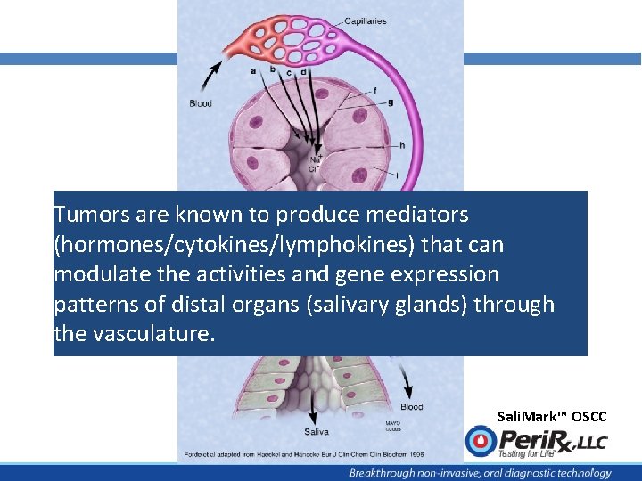 Tumors are known to produce mediators (hormones/cytokines/lymphokines) that can modulate the activities and gene