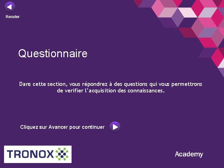 Reculer Questionnaire Dans cette section, vous répondrez à des questions qui vous permettrons de