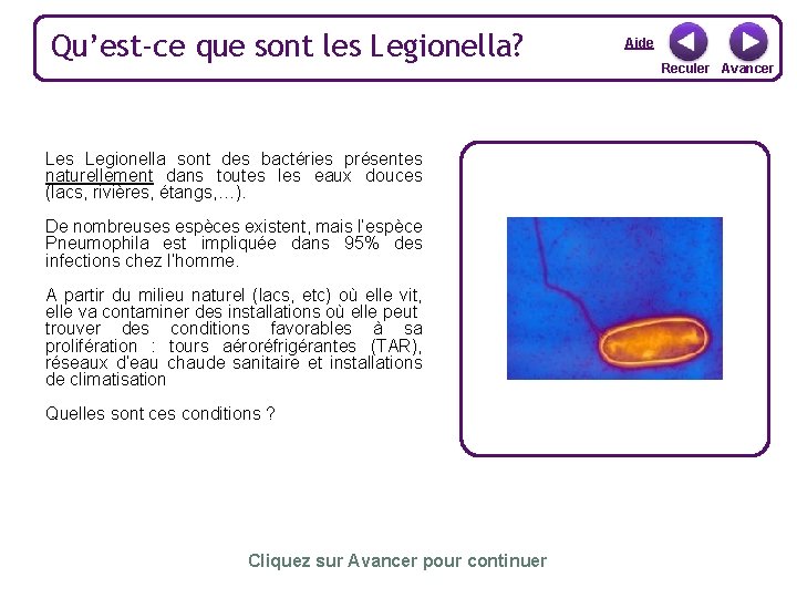 Qu’est-ce que sont les Legionella? Les Legionella sont des bactéries présentes naturellement dans toutes