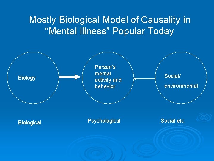 Mostly Biological Model of Causality in “Mental Illness” Popular Today Biological Person’s mental activity
