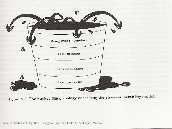 From: A Casebook of Cognitive Therapy for Psychosis, Edited by Anthony P. Morrison 