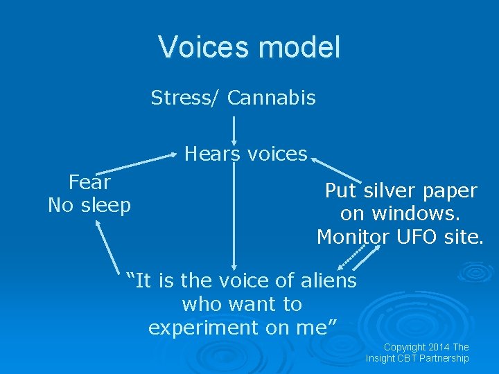 Voices model Stress/ Cannabis Hears voices Fear No sleep Put silver paper on windows.