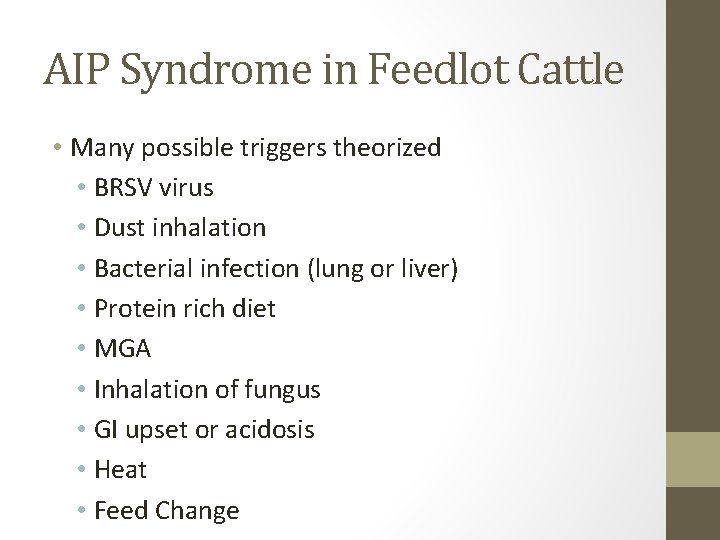 AIP Syndrome in Feedlot Cattle • Many possible triggers theorized • BRSV virus •