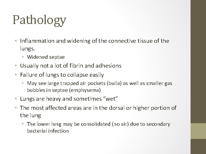 Pathology • Inflammation and widening of the connective tissue of the lungs. • Widened