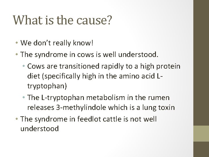 What is the cause? • We don’t really know! • The syndrome in cows