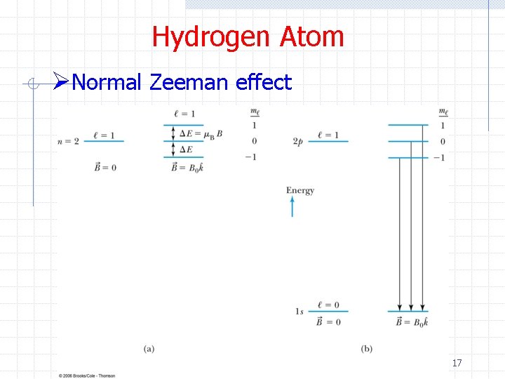 Hydrogen Atom ØNormal Zeeman effect 17 