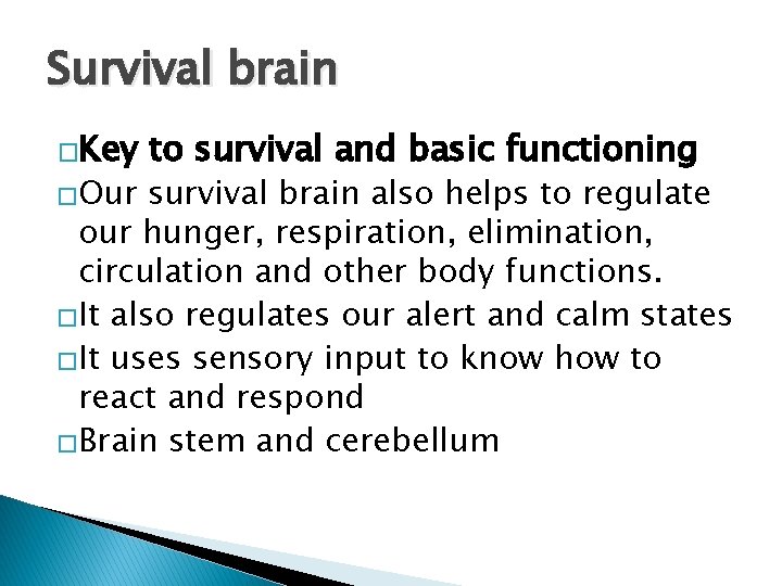 Survival brain �Key �Our to survival and basic functioning survival brain also helps to