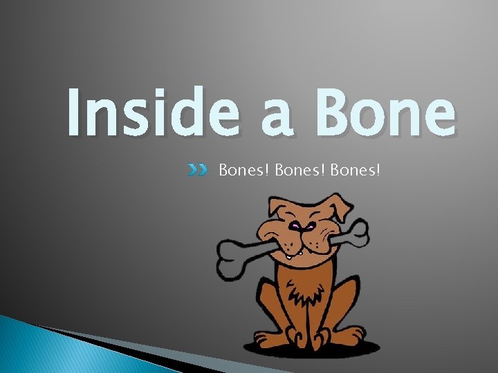Inside a Bones! 