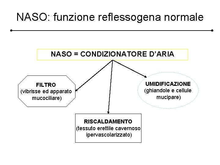 NASO: funzione reflessogena normale NASO = CONDIZIONATORE D’ARIA UMIDIFICAZIONE (ghiandole e cellule mucipare) FILTRO