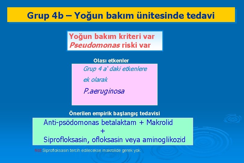 Grup 4 b – Yoğun bakım ünitesinde tedavi Yoğun bakım kriteri var Pseudomonas riski