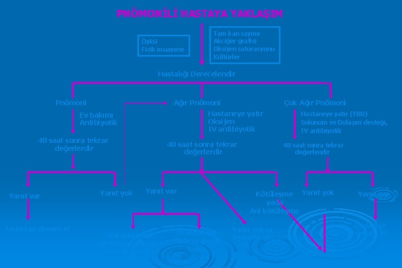 PNÖMONİLİ HASTAYA YAKLAŞIM Öykü Fizik muayene Tam kan sayımı Akciğer grafisi Oksijen saturasyonu Kültürler