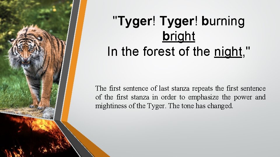 "Tyger! burning bright In the forest of the night, " The first sentence of