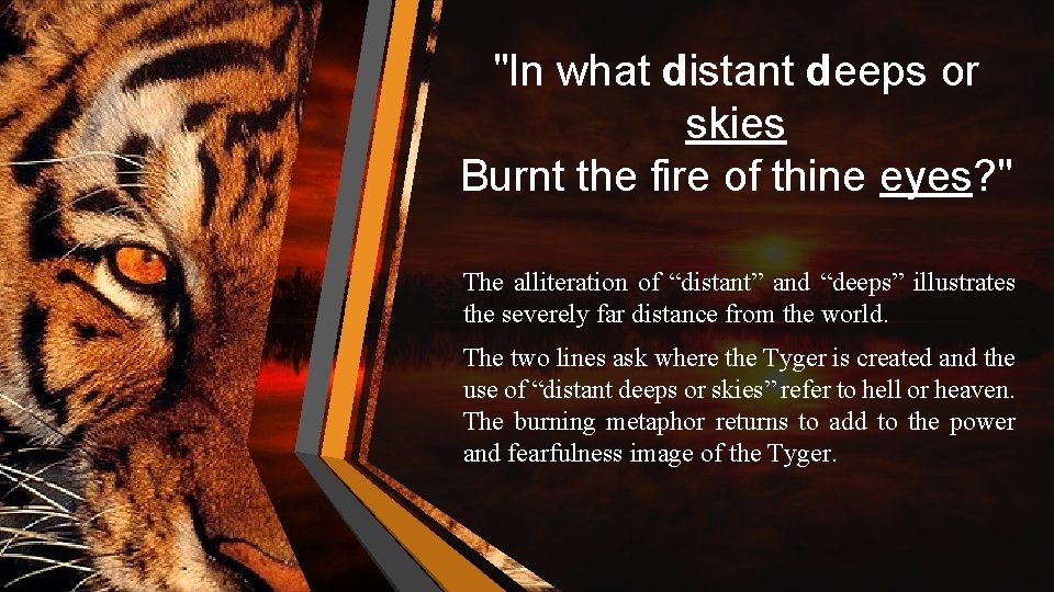 "In what distant deeps or skies Burnt the fire of thine eyes? " The