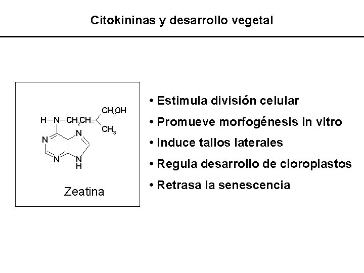 Citokininas y desarrollo vegetal • Estimula división celular • Promueve morfogénesis in vitro •
