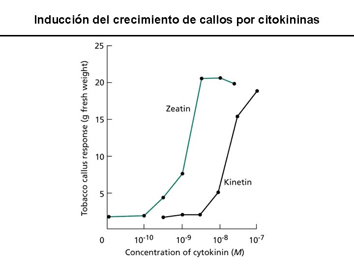Inducción del crecimiento de callos por citokininas 