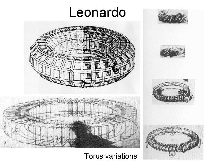 Leonardo Torus variations 