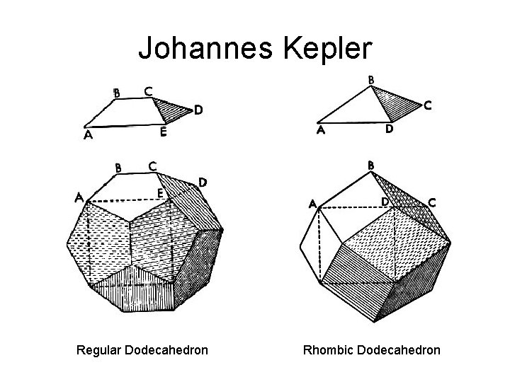 Johannes Kepler Regular Dodecahedron Rhombic Dodecahedron 
