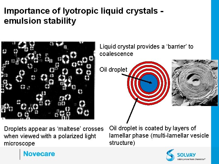 Importance of lyotropic liquid crystals emulsion stability Liquid crystal provides a ‘barrier’ to coalescence