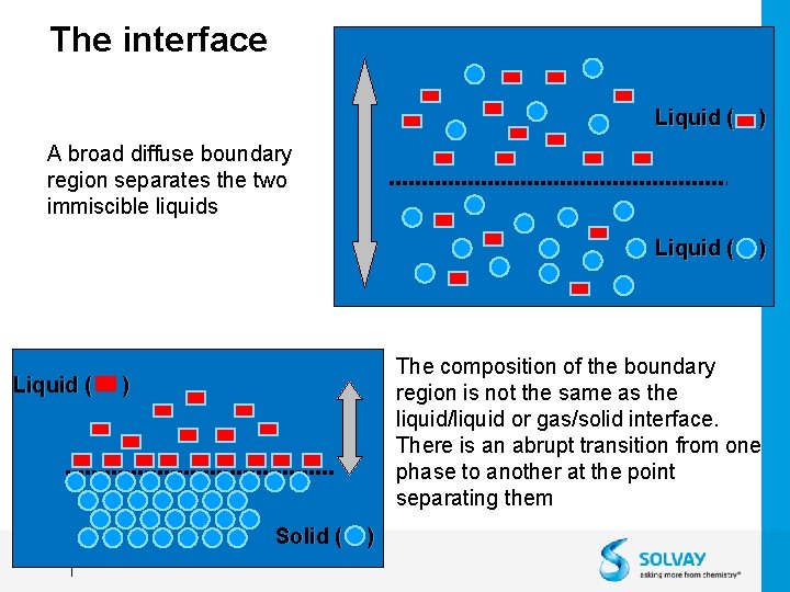The interface Liquid ( ) A broad diffuse boundary region separates the two immiscible