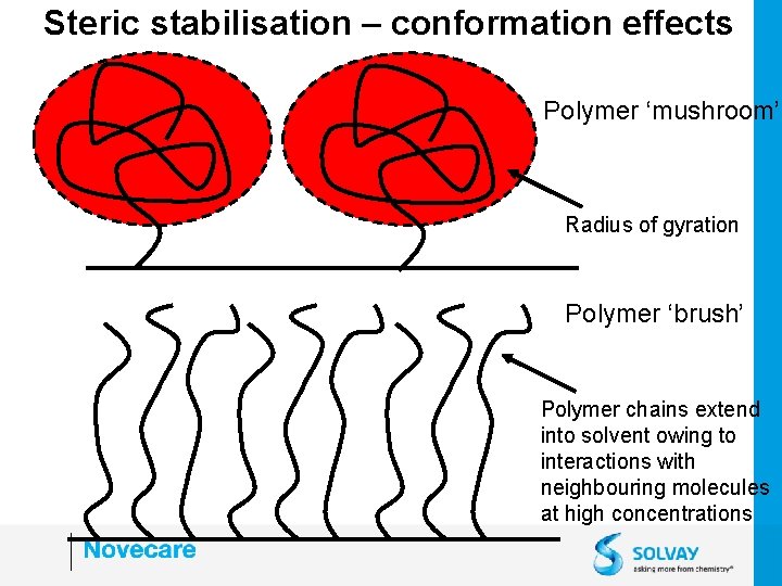 Steric stabilisation – conformation effects Polymer ‘mushroom’ Radius of gyration Polymer ‘brush’ Polymer chains