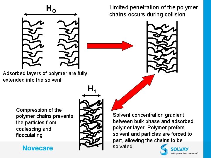 HO Limited penetration of the polymer chains occurs during collision Adsorbed layers of polymer
