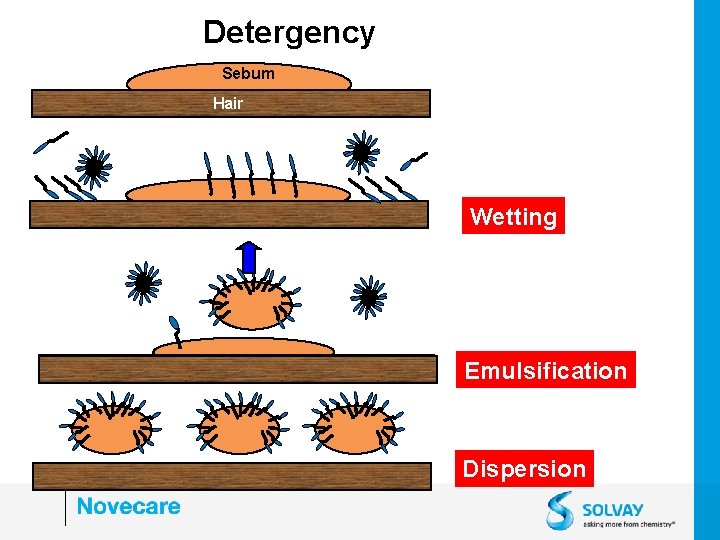 Detergency Sebum Hair Wetting Emulsification Dispersion 