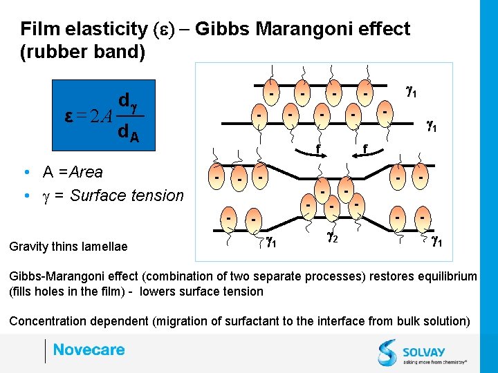 Film elasticity (e) - Gibbs Marangoni effect (rubber band) - - - 1 2