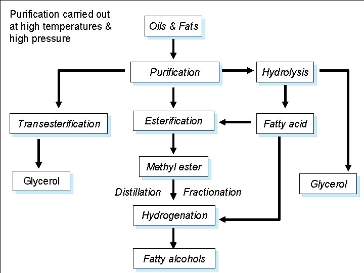 Purification carried out at high temperatures & high pressure Transesterification Oils & Fats Purification