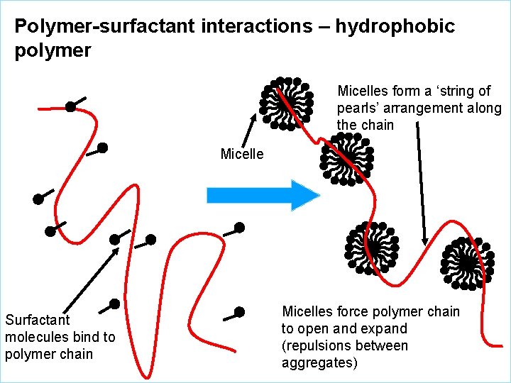 Polymer-surfactant interactions – hydrophobic polymer Micelles form a ‘string of pearls’ arrangement along the