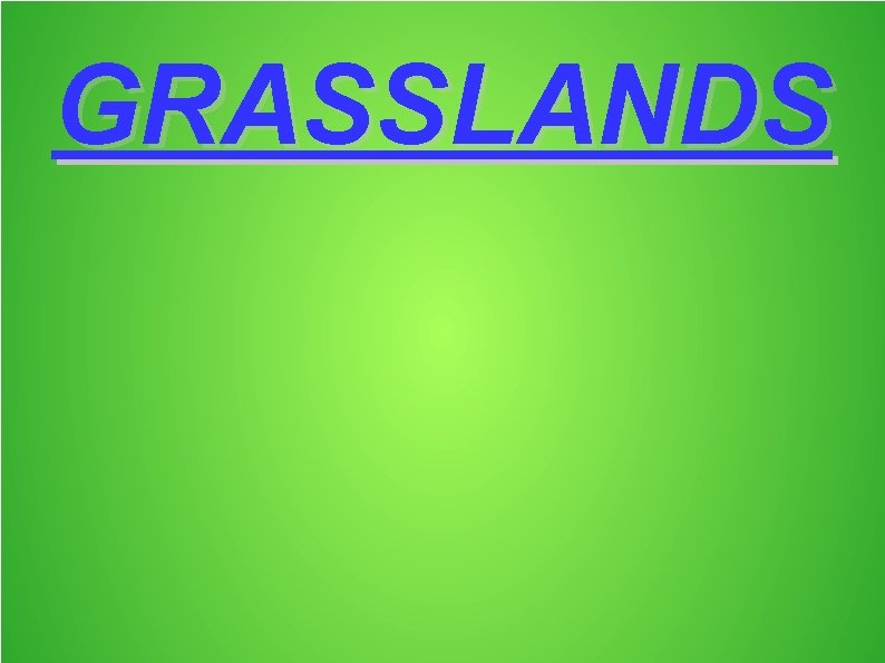 GRASSLANDS 