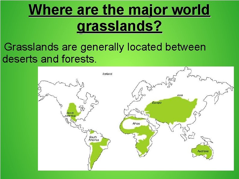 Where are the major world grasslands? Grasslands are generally located between deserts and forests.